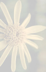 Homeopathic Healing Image